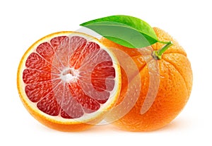 Isolated blood oranges