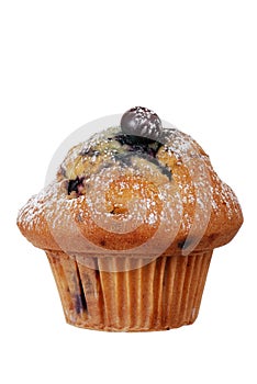 Isolated blueberry muffin with icing sugar