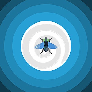 Isolated Bluebottle Flat Icon. Dung Vector Element Can Be Used For Dung, Fly, Bluebottle Design Concept.