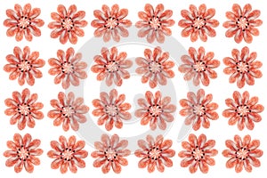 Isolated boiled shrimps background.