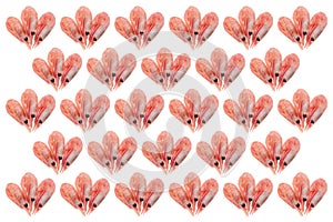 Isolated boiled shrimps background.