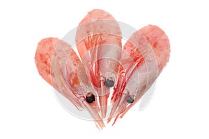 Isolated boiled three shrimps creative.