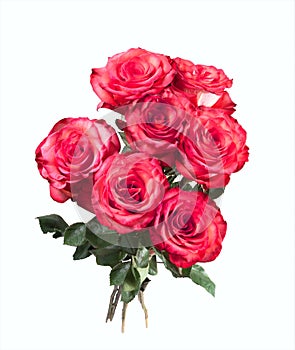 Isolated bouquet of red roses