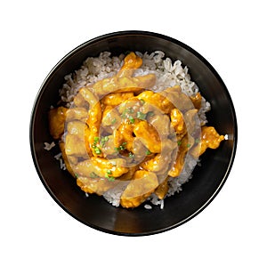 Isolated bowl of asian curry chicken and rice