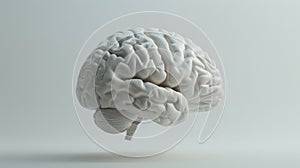 The isolated brain model.AI generated image