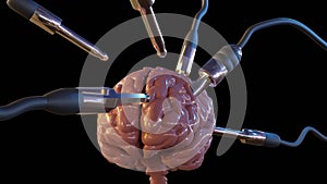 Isolated brain with wired electronical memory upload tool