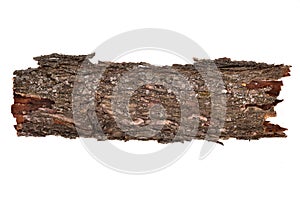 Isolated broken bark stub log, wooden texture photo