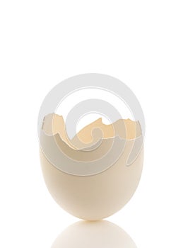 Isolated broken egg