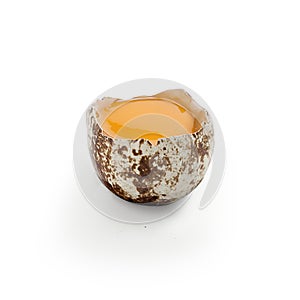 Broken quail egg