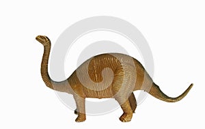 Isolated Brontosaurus in White Background