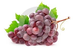 Isolated bunch of red grapes