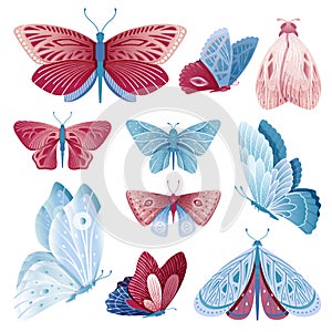 Isolated butterflies set. Floral butterfly, vintage spring flying insect. Blue pink moth, cartoon wild animals. Forest