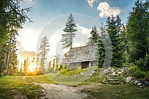 Isolated Cabin in Mountains Surrounded by Deep Forrest, sunset in background with sunrays. Slovakia Tatra Mountains photo