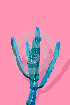 Isolated Cactus Fashion. Art Design Minimal Stillife. Vanilla Trendy Purple Blue Color background