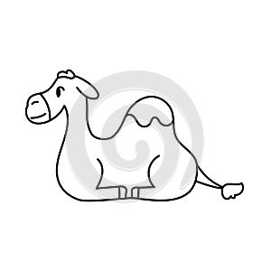 Isolated camel Belen draw vector illustration