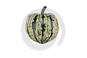 Isolated carnival squash on white