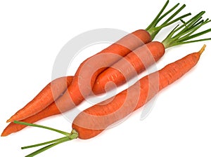 Isolated carrots. Heap of fresh carrots with stems isolated on white background