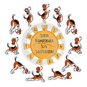 Isolated cartoon funny dog doing yoga position of Surya Namaskara