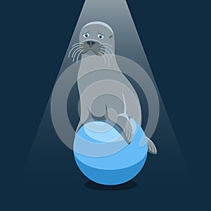 Isolated cartoon fur seal on the blue ball on black background. Colorful sad fur seal. Wild animal personage. Problem of