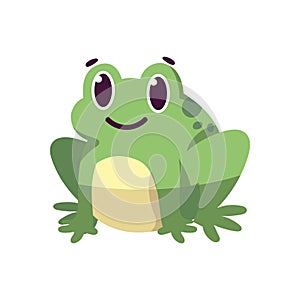 Isolated cartoon of a toad