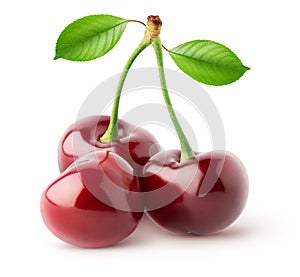 Isolated cherries. Three cherry fruits with leaves isolated on white background, with clipping path