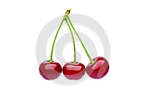 Isolated cherries. Three sweet cherry fruits isolated on white background