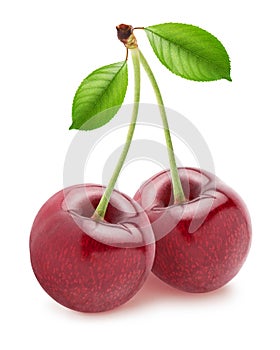 Isolated cherries. Two sweet cherry fruits with leaves isolated on white background with clipping path.