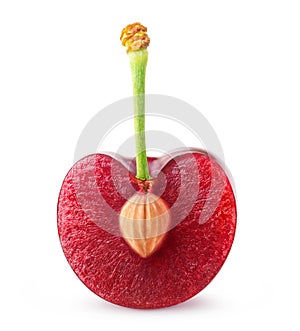 Isolated cherry half with kernel on a short stem