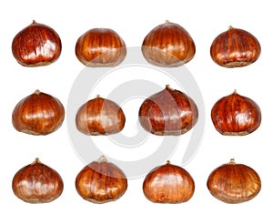 Isolated Chestnuts