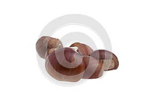 Isolated chestnuts on white background