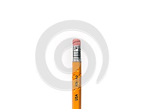 Isolated Chewed HB No. 2 Pencil