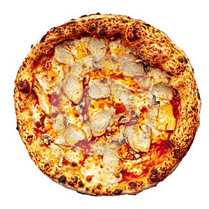 Isolated chicken neapolitan pizza on the white photo