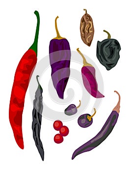 Isolated Chili Peppers