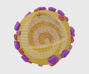 Isolated Chylomicrons also known as ultra low-density lipoproteins