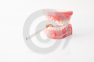 Isolated cigarette hold in detist teeth model