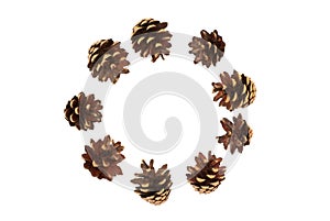 Isolated circle of pine cones