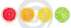 Isolated citrus. Fresh fruits sliced in a row on a white background