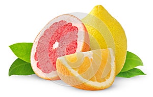 Isolated citrus fruits