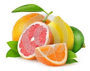 Isolated citrus fruits photo