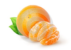 Isolated citrus fruits. Whole tangerine (mandarin) with leaves and segments isolated on white