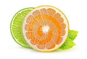 Isolated citrus slices orange and lime