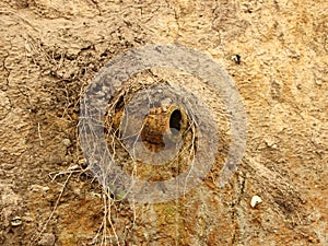 Isolated Clay Drain Pipe in Sand Slope