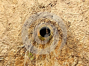 Isolated Clay Drain Pipe in Sand Slope