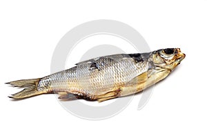 Isolated close up dried salted fish on a white background.