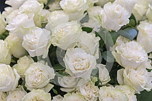 Isolated close-up of a huge bouquet of white roses. White roses Flower Arrangement