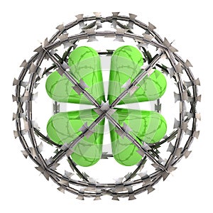 Isolated cloverleaf in barbed wire sphere