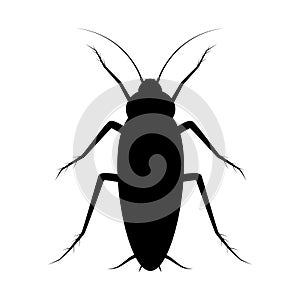 Isolated cockroach icon on white background. Vector black insect silhouette