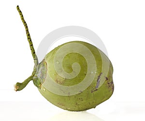 Isolated coconut on with background clean with drop