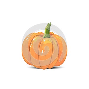 Isolated color pumpkin on a white background. cartoon style