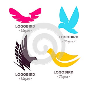 Isolated colorful flying birds vector logo set. Animal logotypes collection.